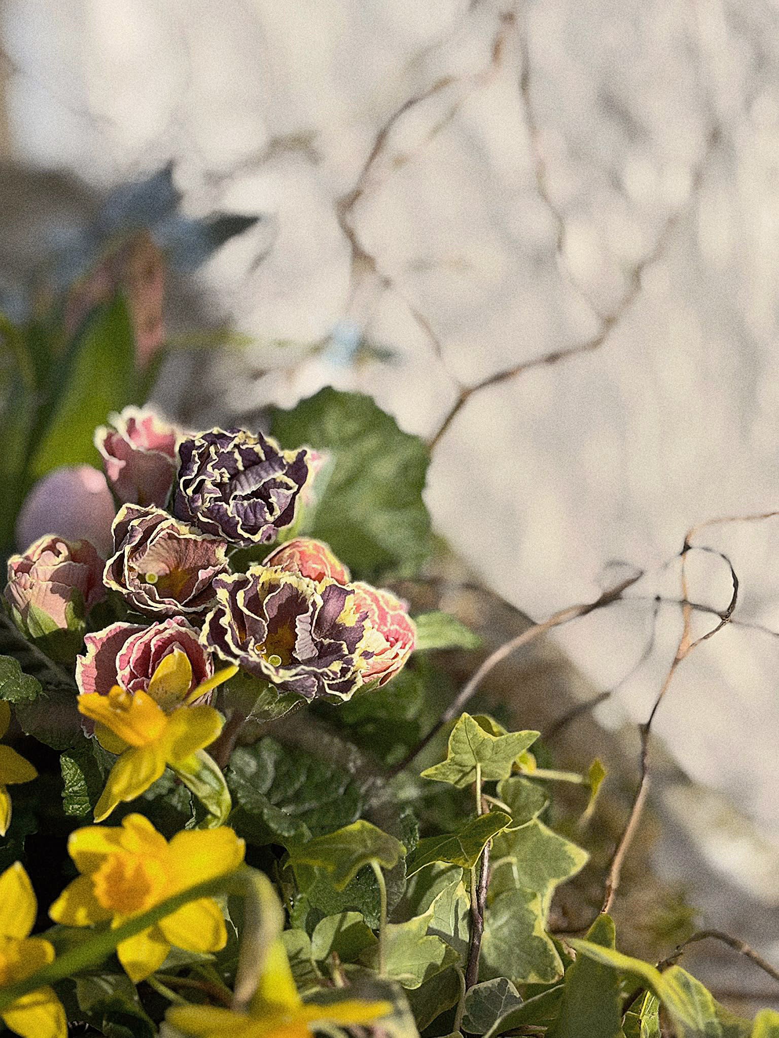 Ardleigh Flowers