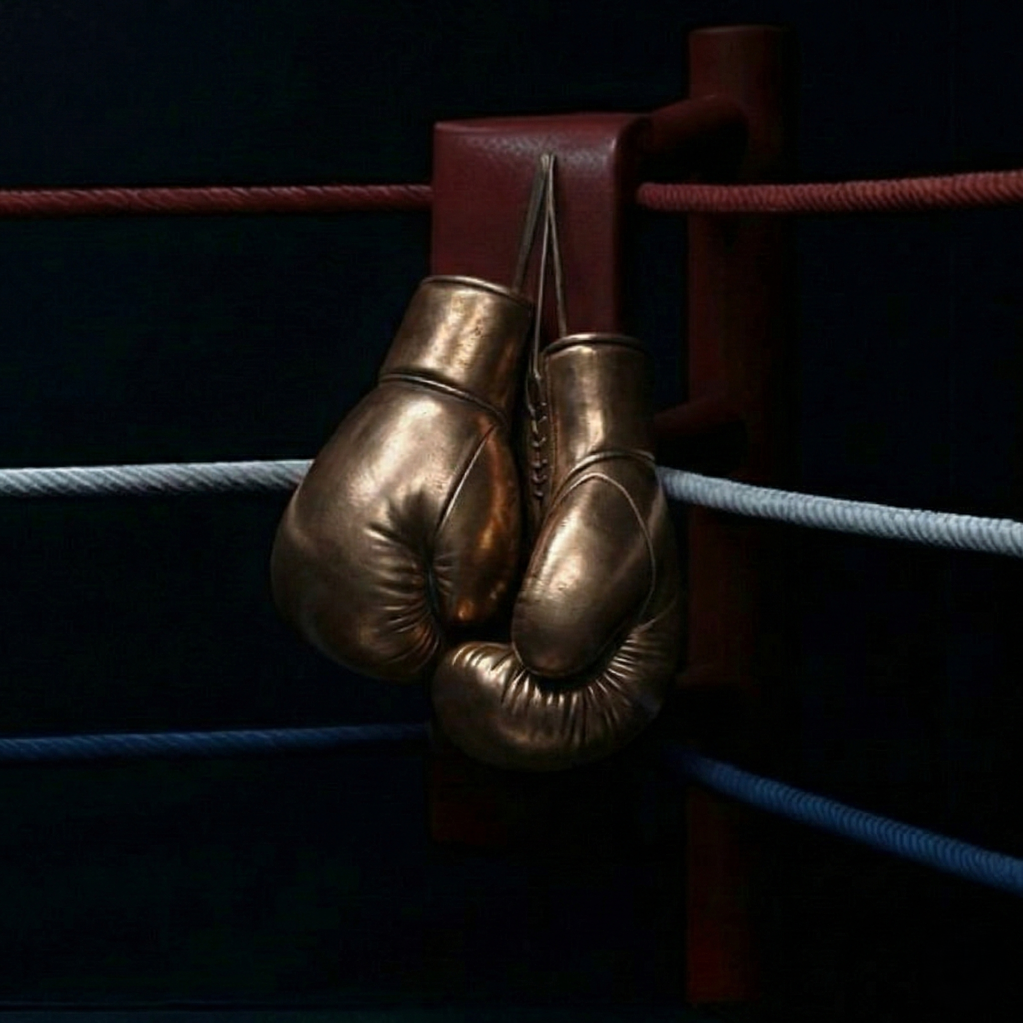 BU Homes Ltd & Solihull Community Boxing