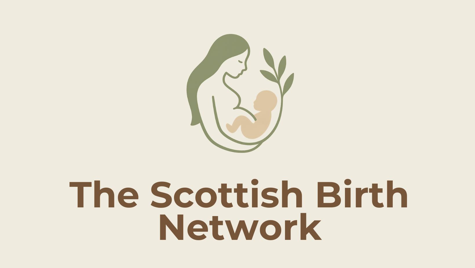 The Scottish Birth Network