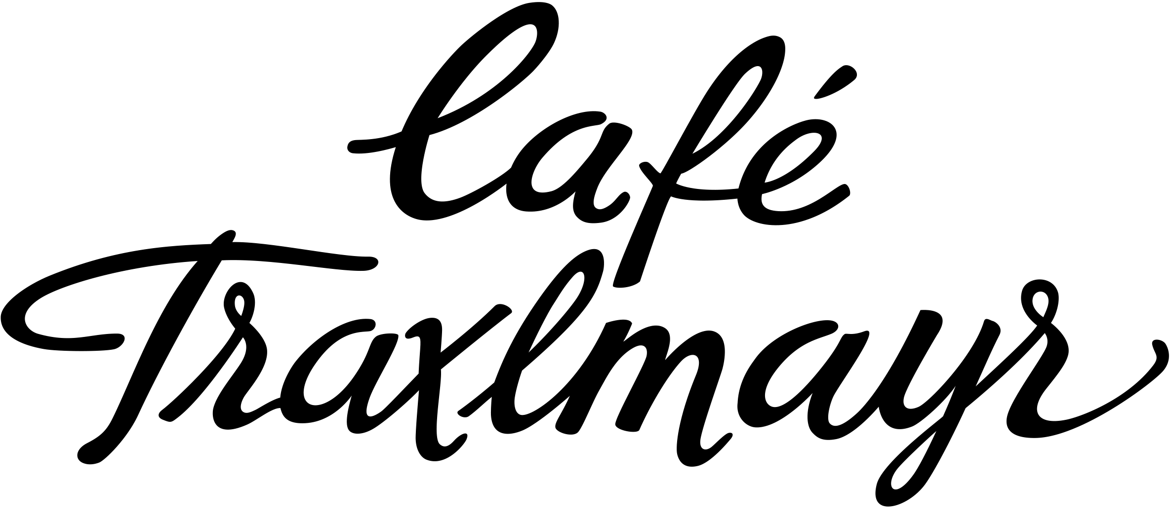 Café Traxlmayr