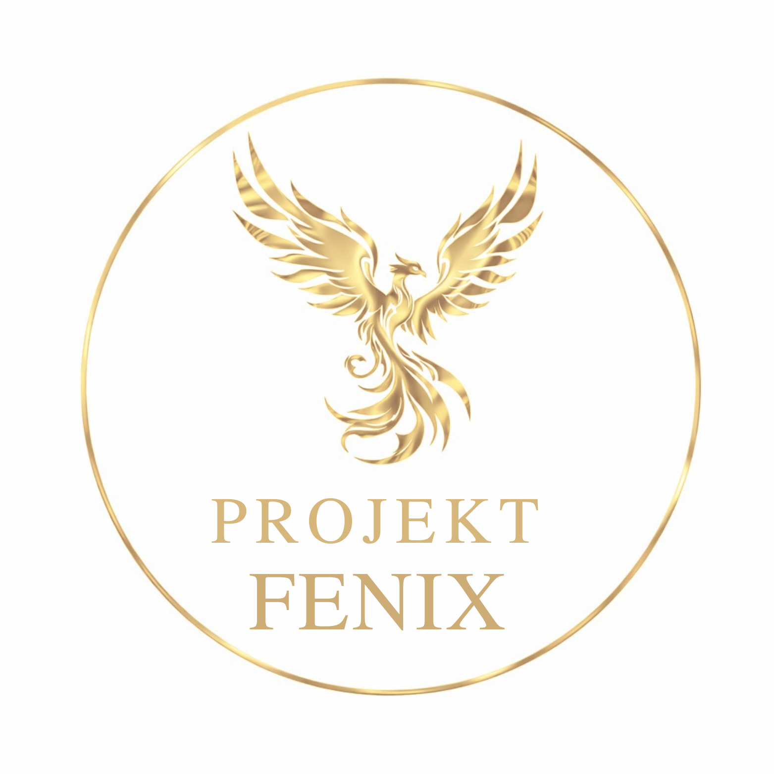 Projekt FENIX