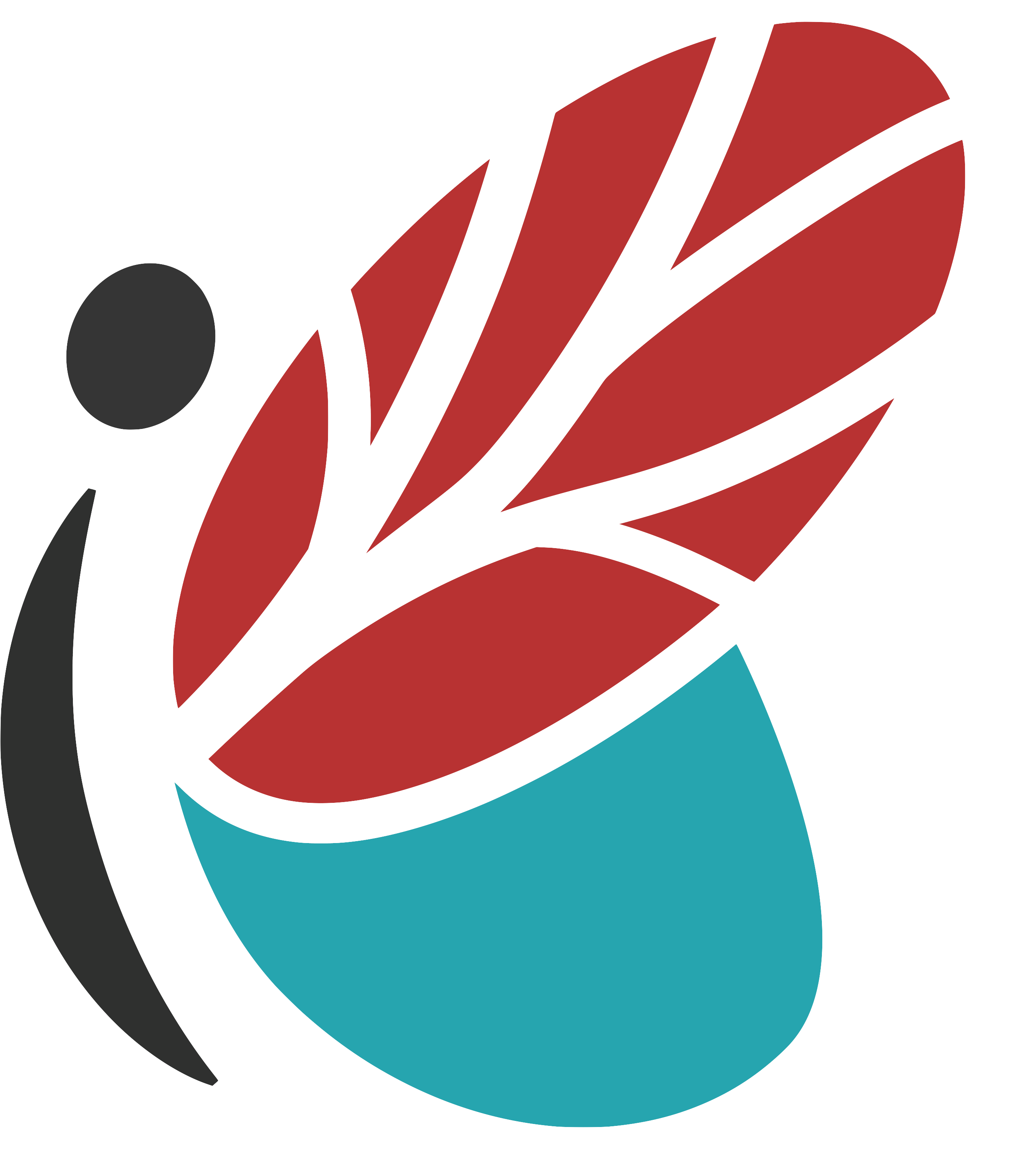 Indigenous Primary Health Care Policy & Research (IPHCPR)