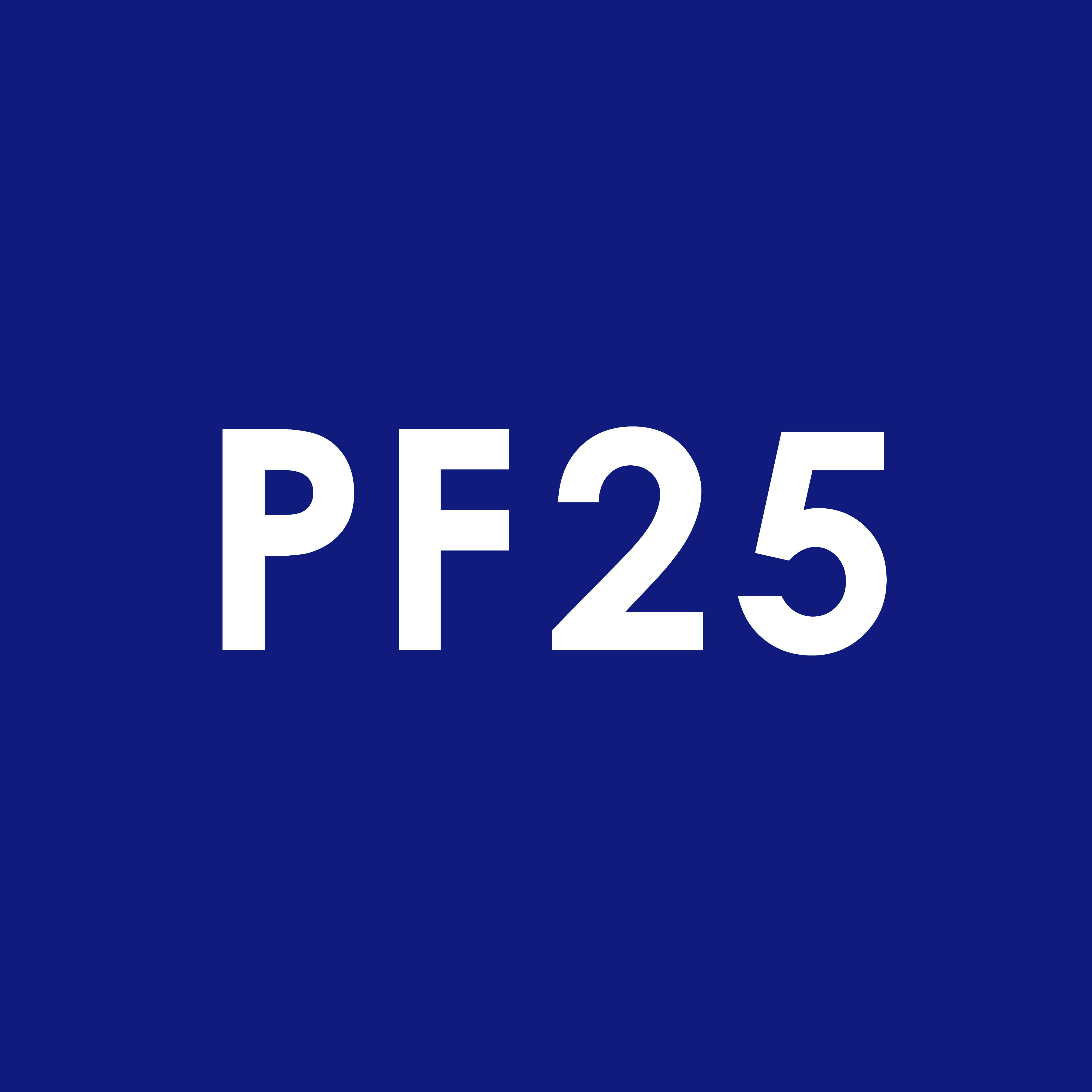 PF25 cultural projects