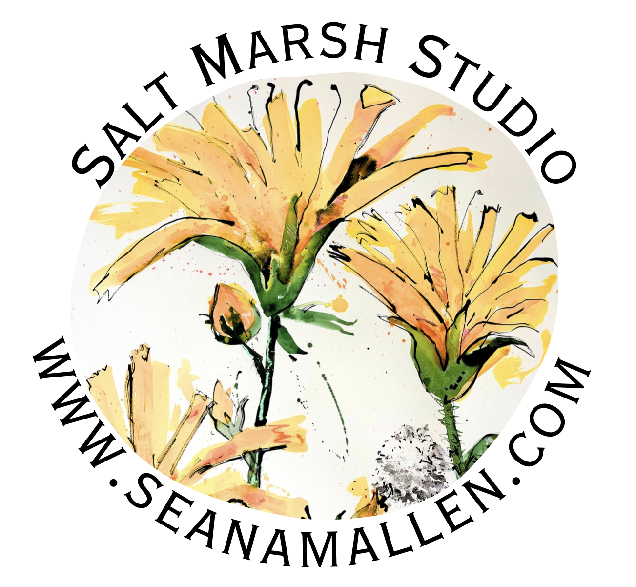 Salt Marsh Studio