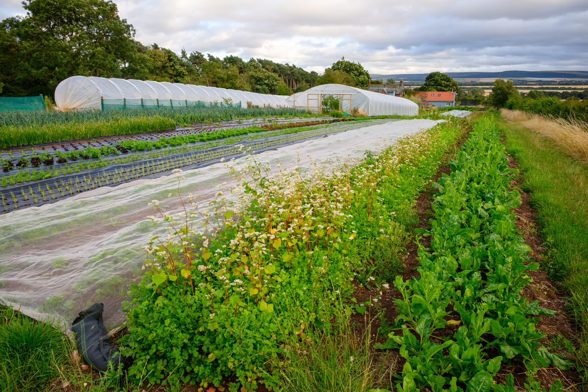 Tyninghame Community Farm