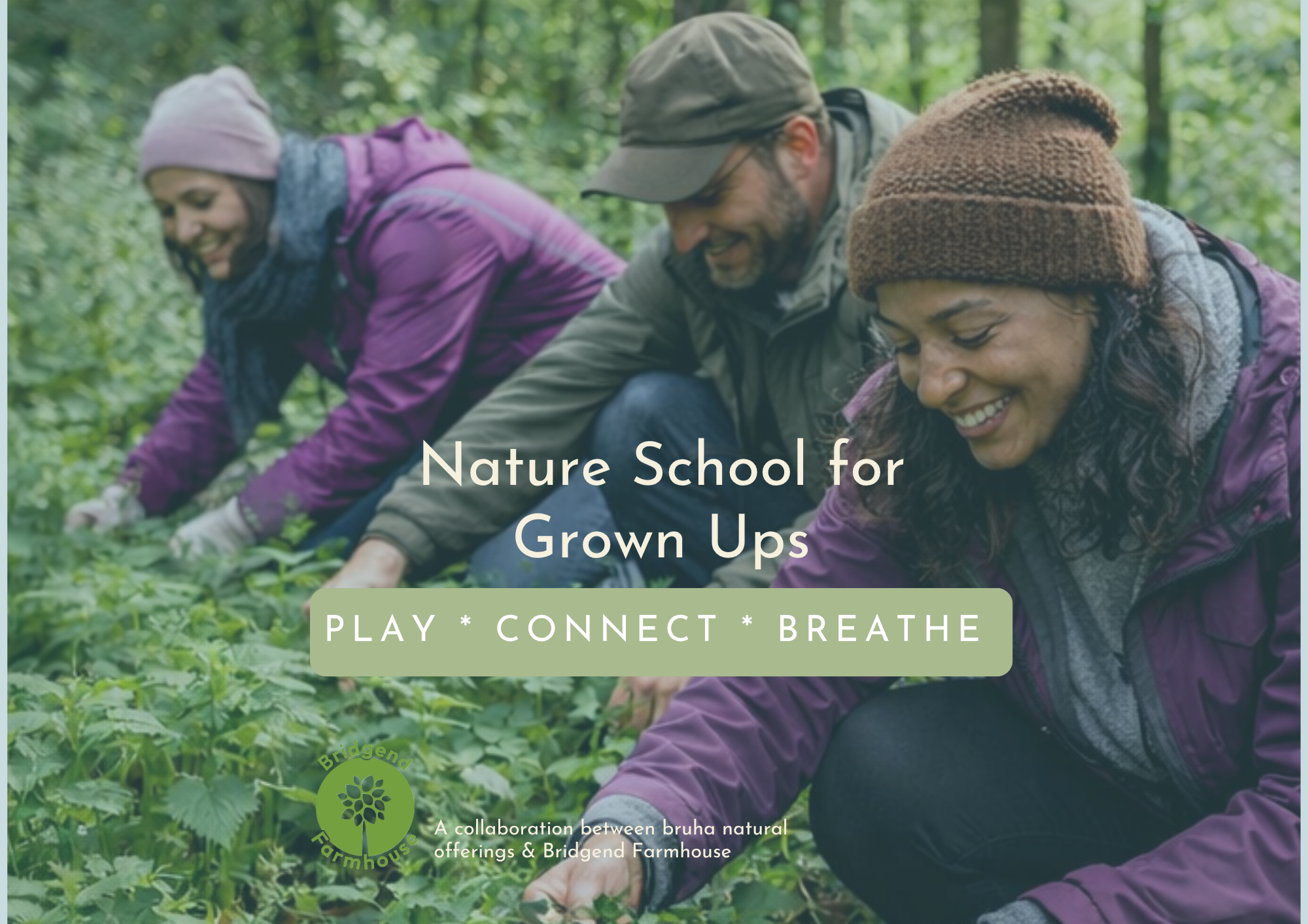 Nature School for Grownups