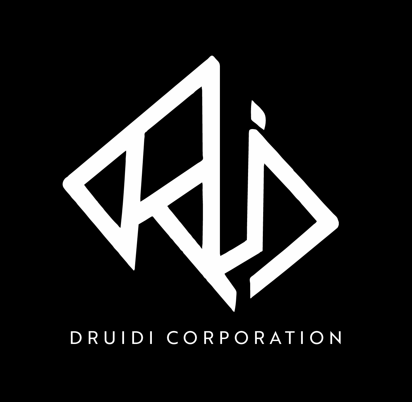 DRUIDI CORPORATION ASP