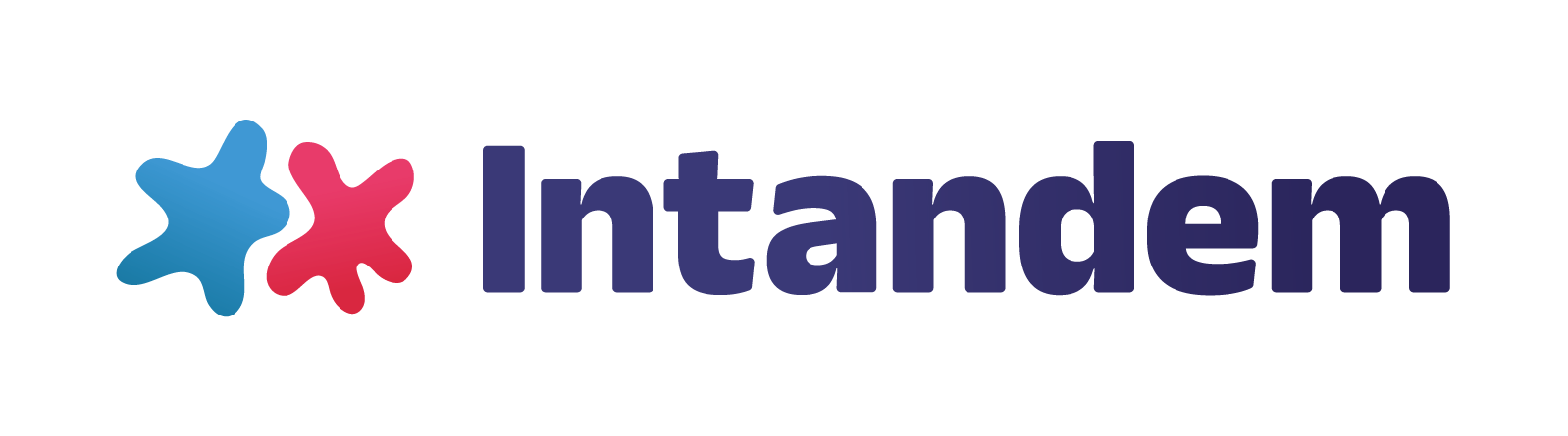 Intadem