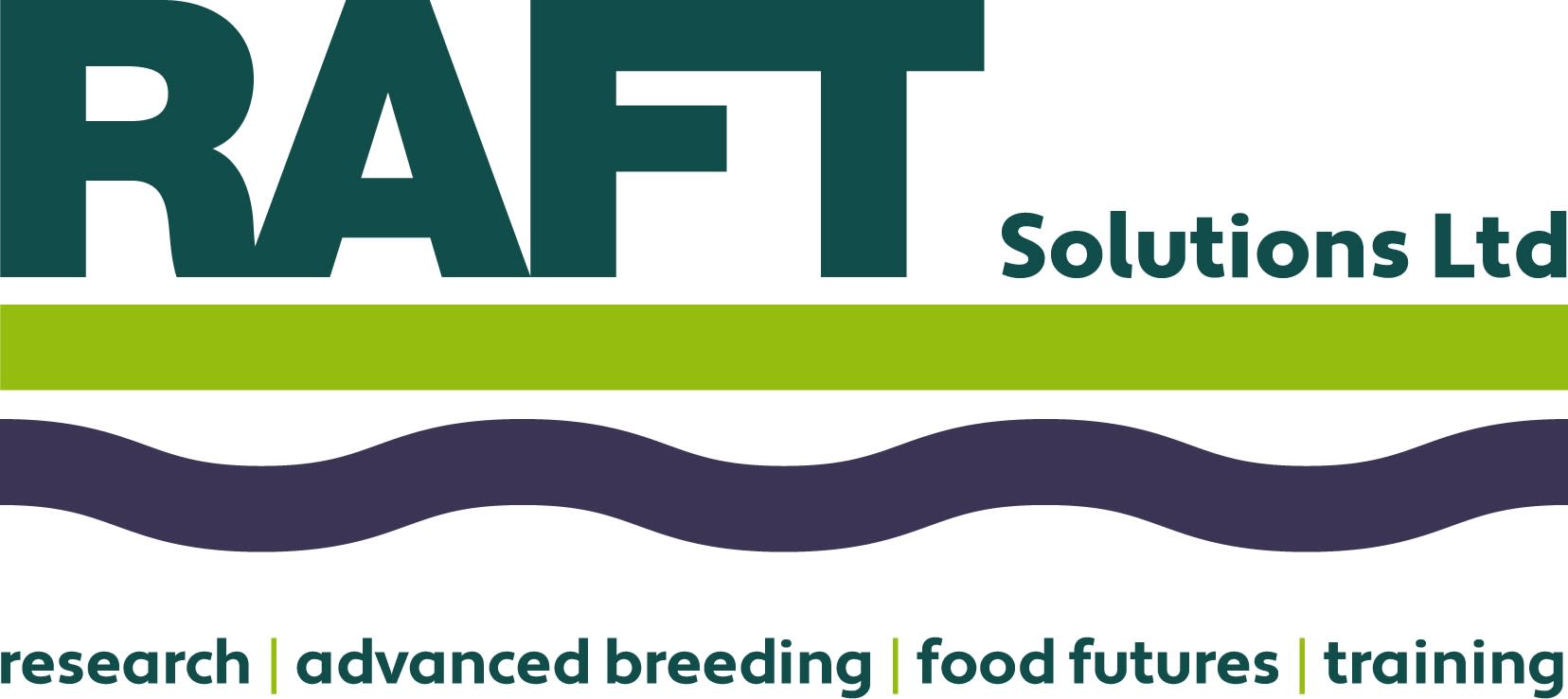 RAFT Solutions