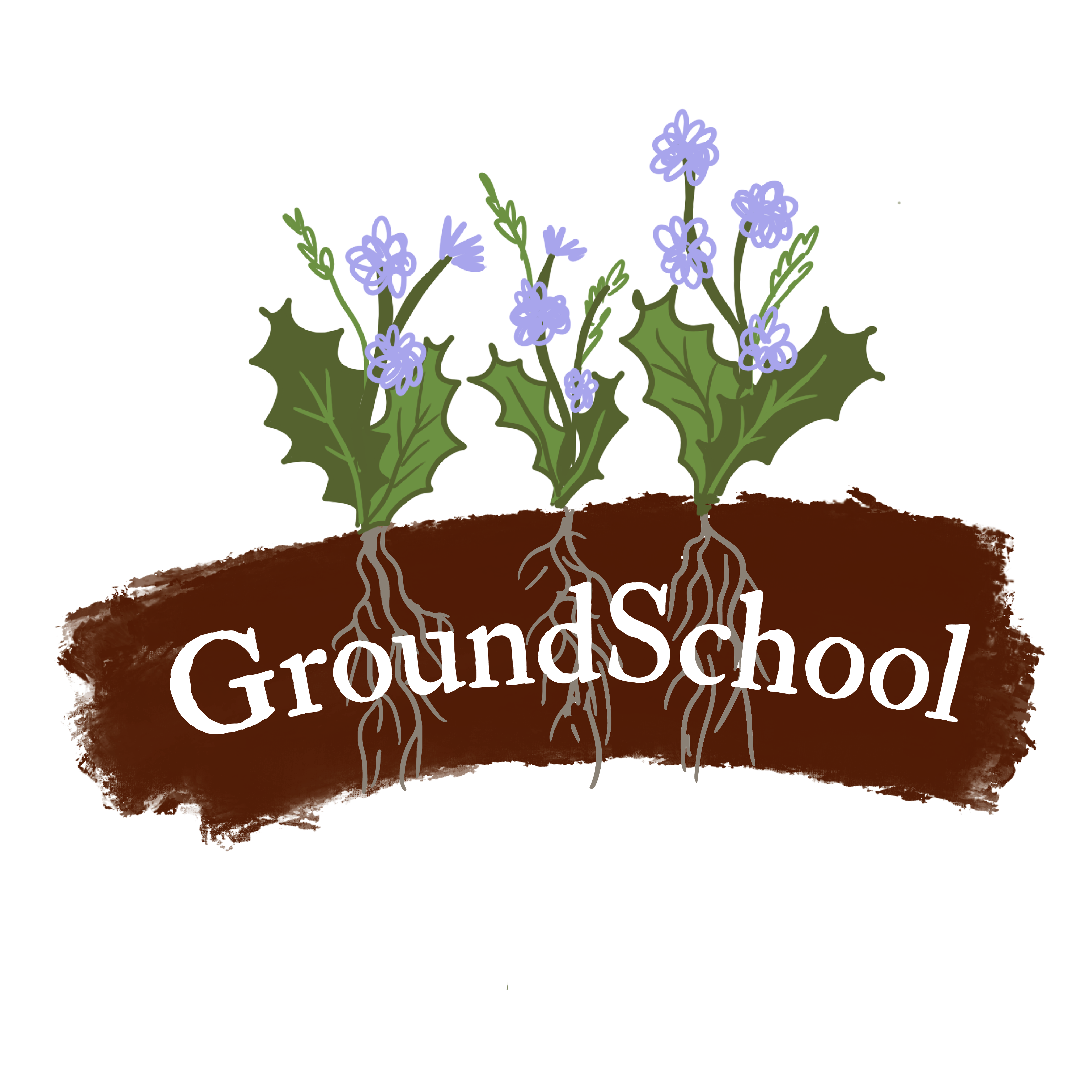 Groundschool CIC