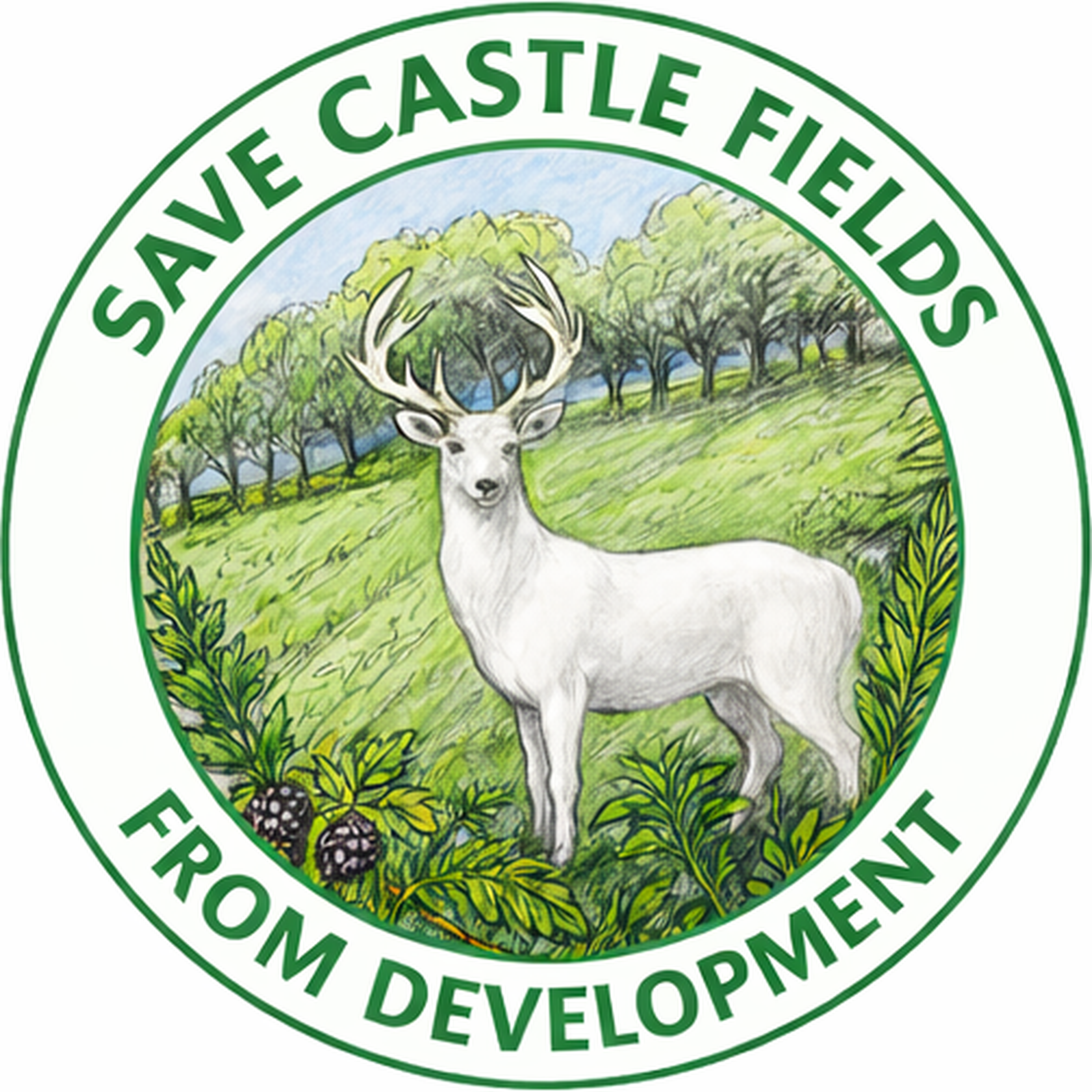 Berkhamsted Castle Trust