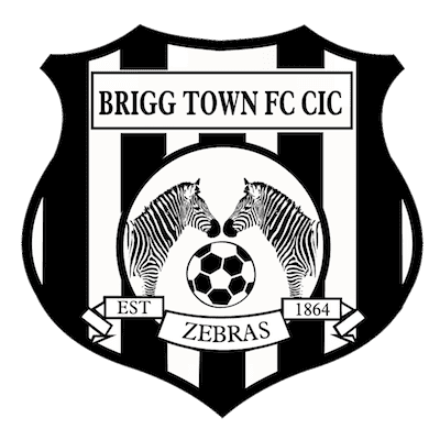 Brigg Town FC