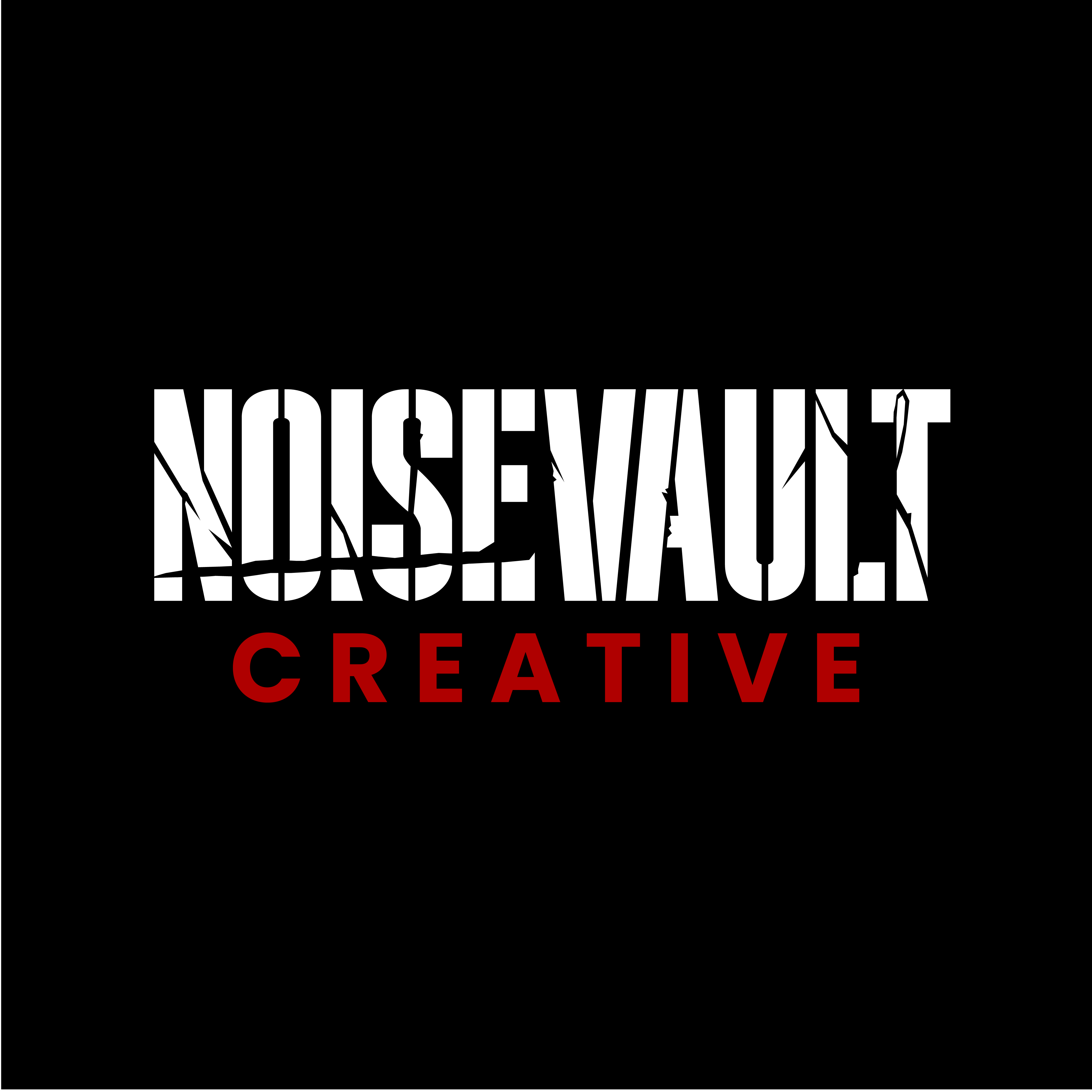 NoiseVault Creative