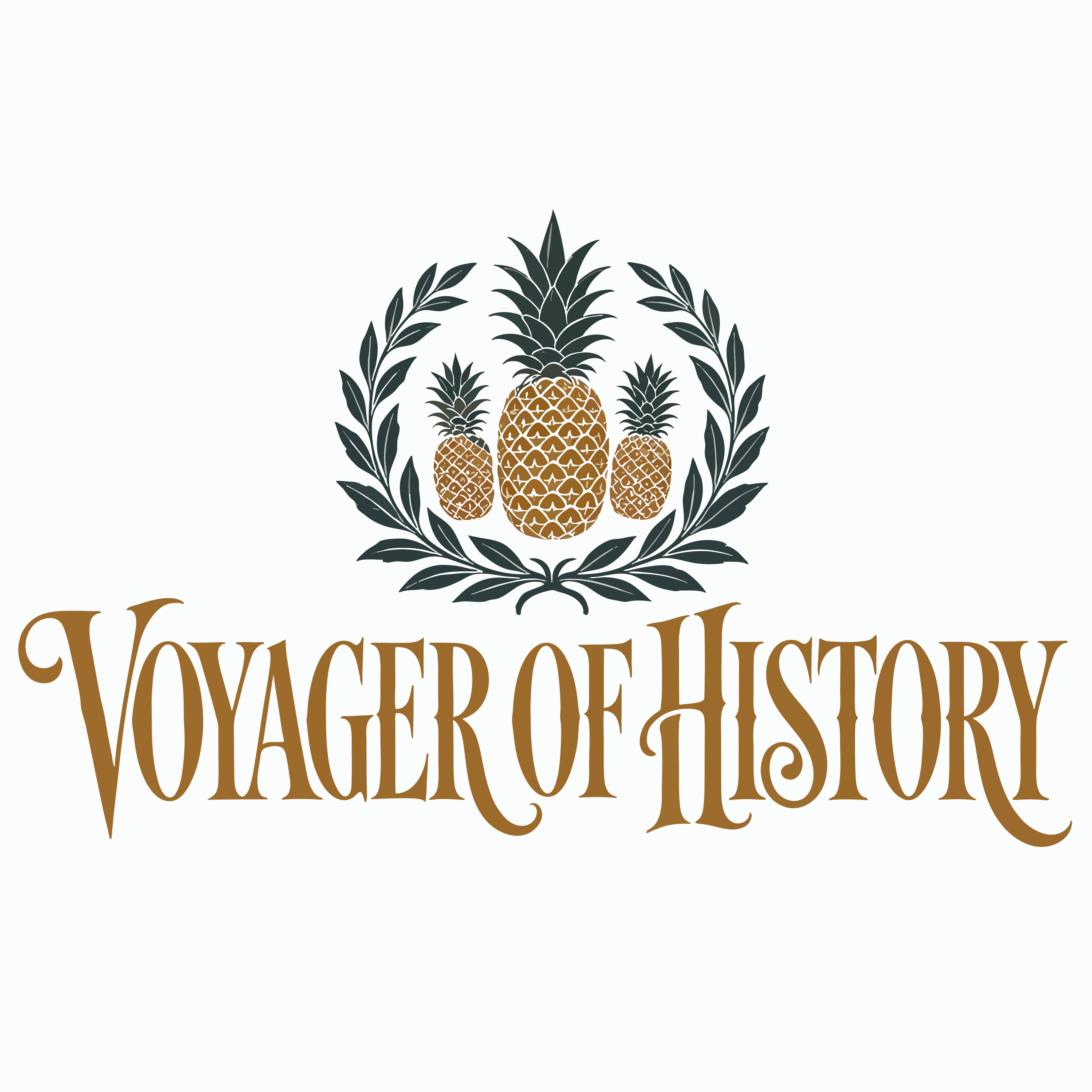 Voyager of History