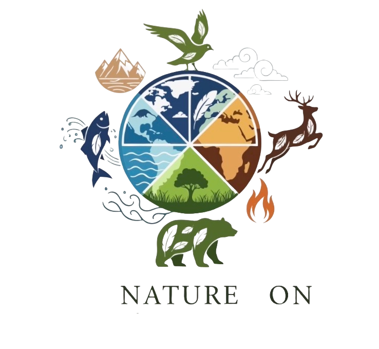The Nature Zone