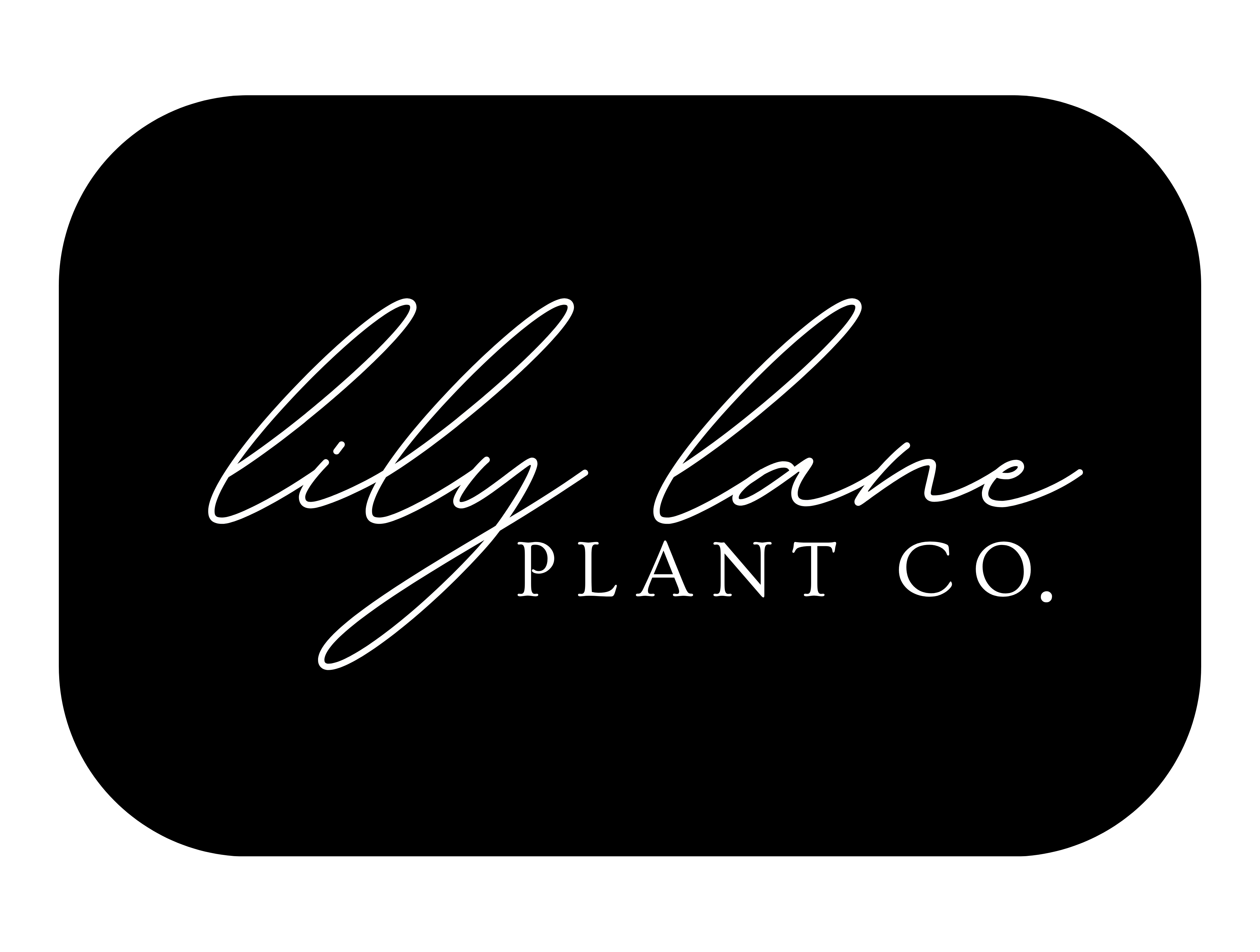 Lily Lane Plant Co.