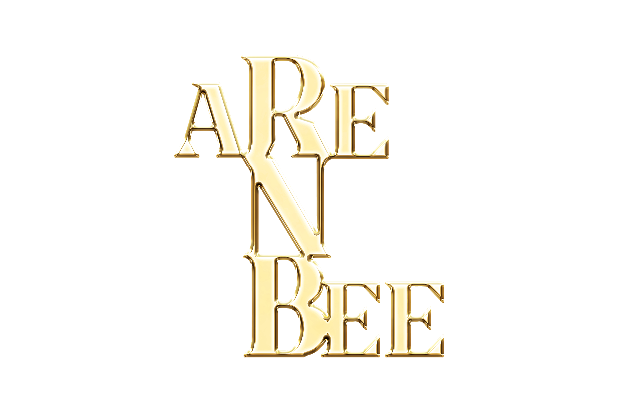 ARE N BEE LLC