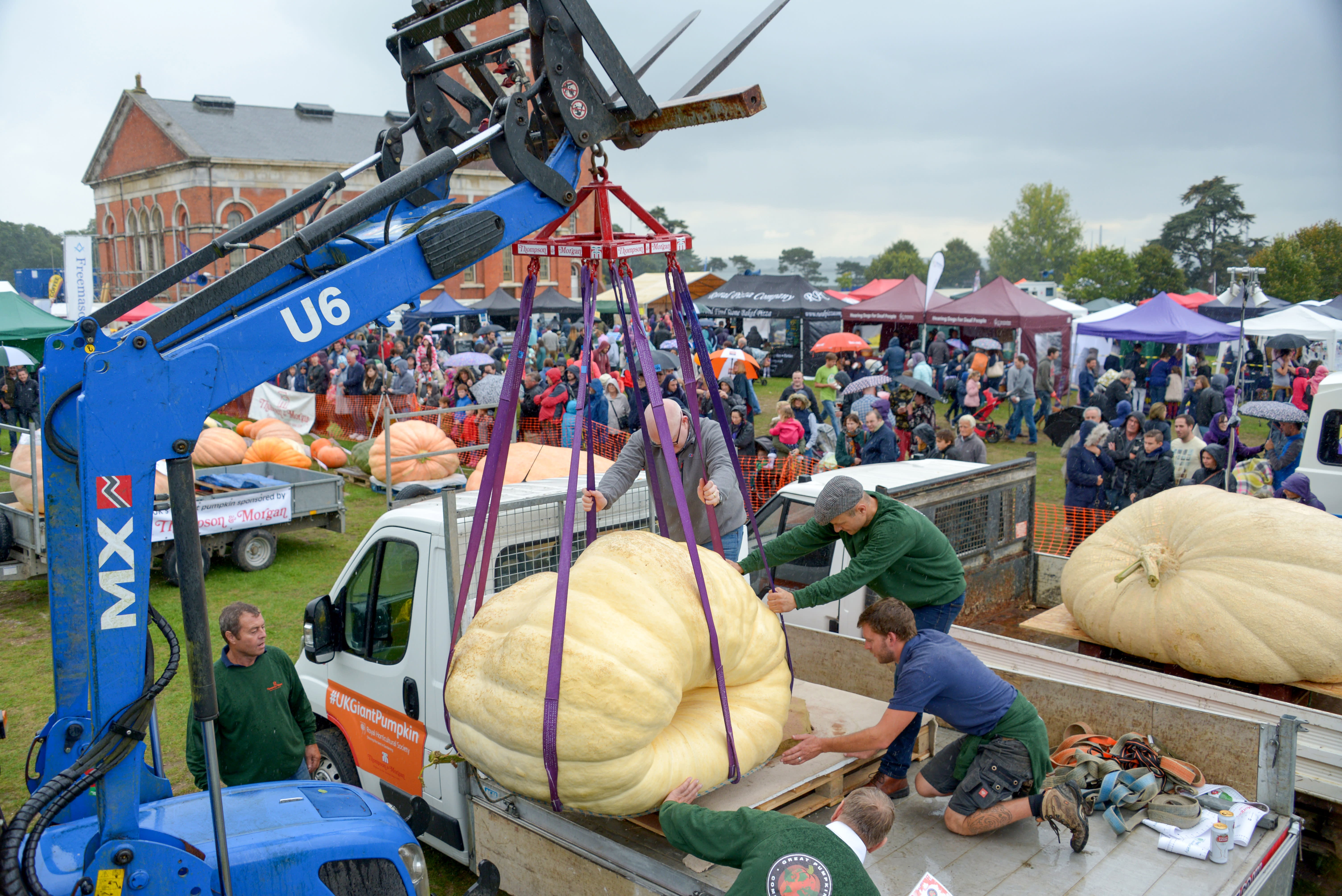 Pumpkins in the Park