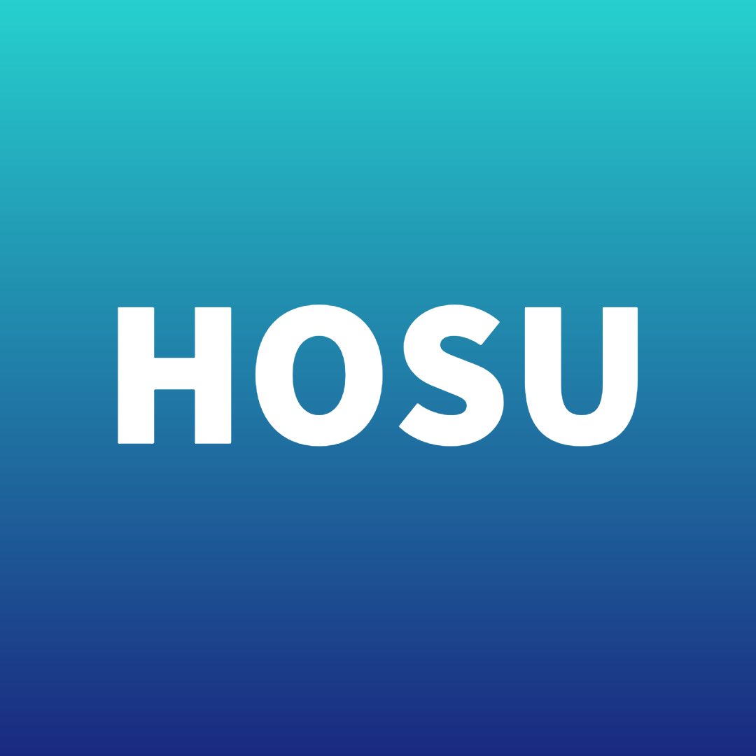 HOSU - In the Night of Carnival