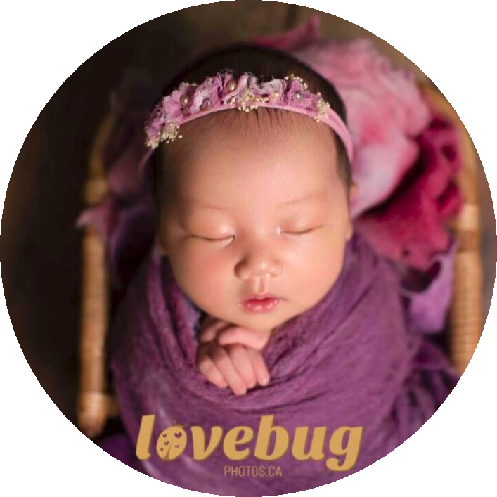 LoveBug ❤️ Photos