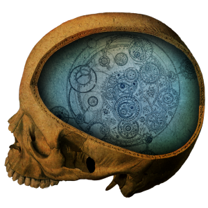 Anatomie Studio London (UK)