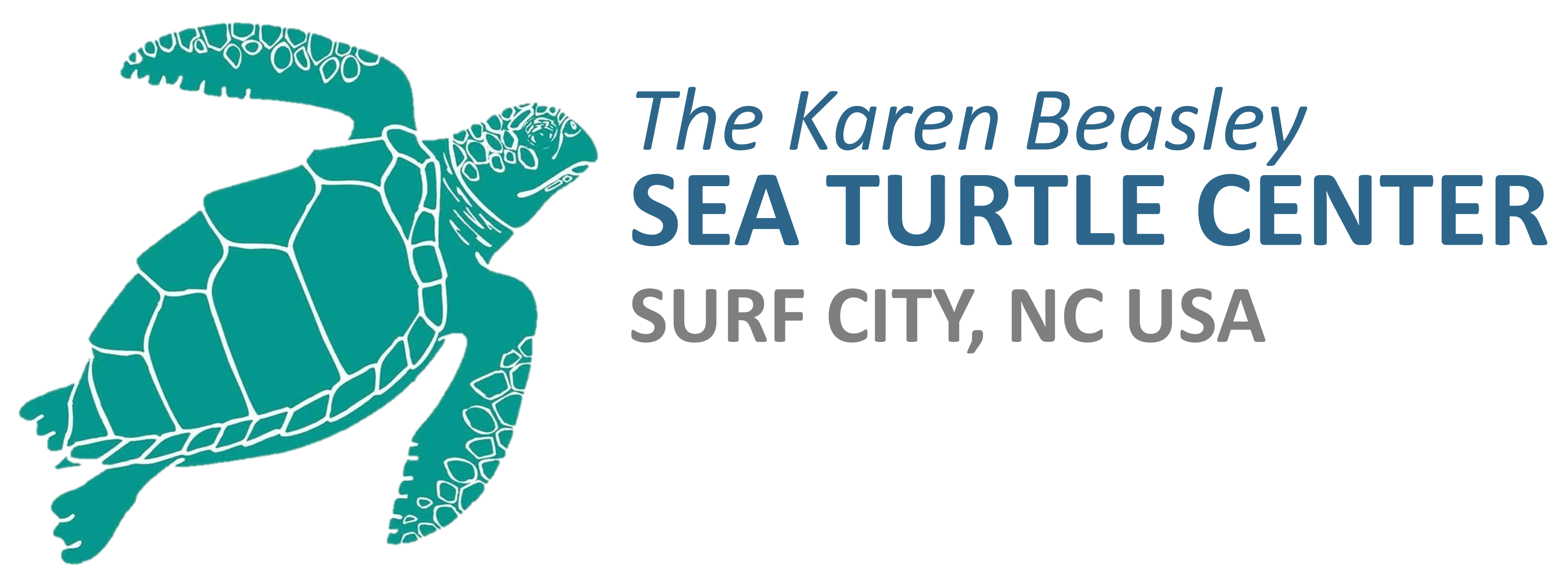 The Karen Beasley Sea Turtle Center