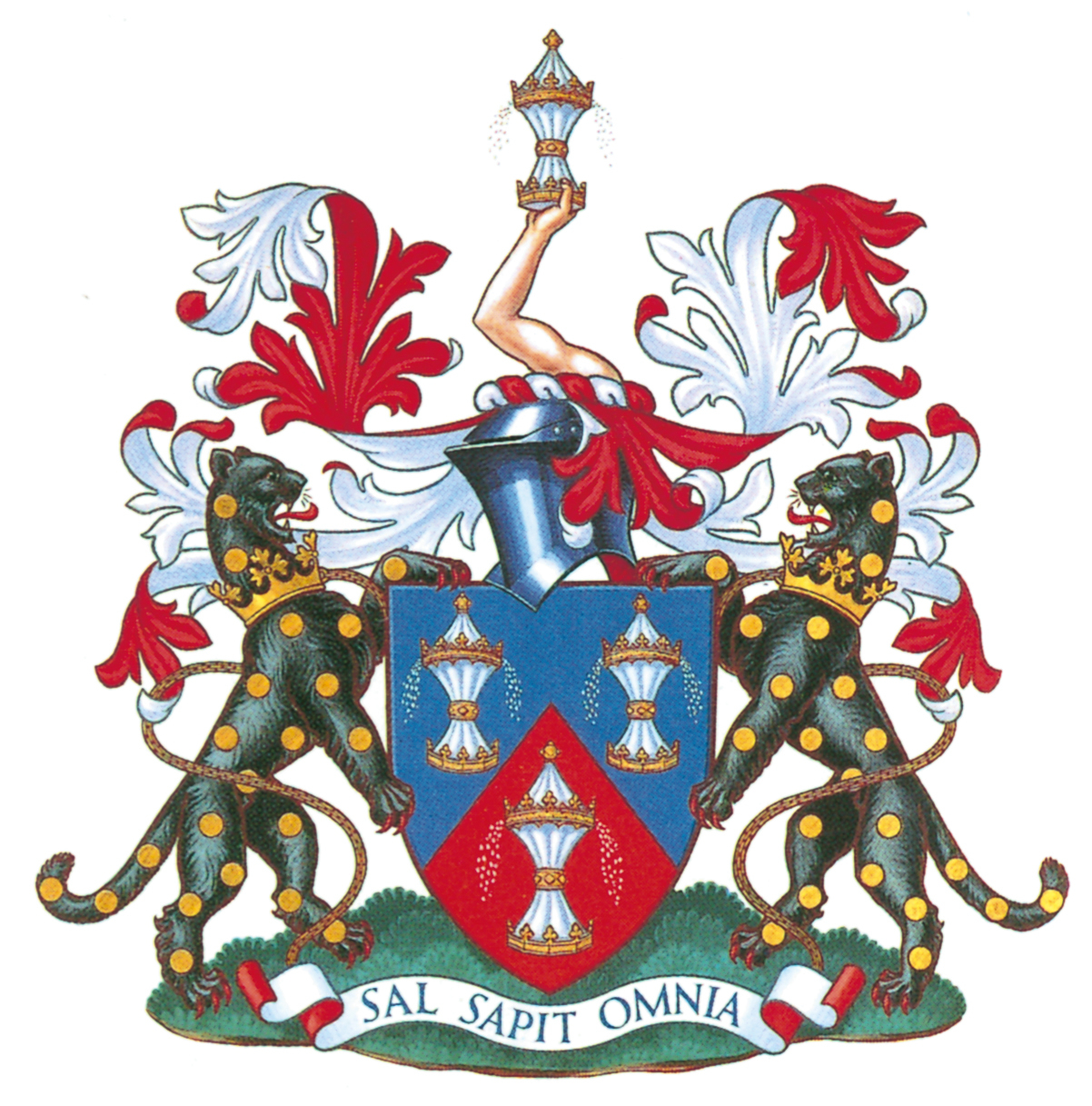 THE SALTERS' COMPANY/INSTITUTE