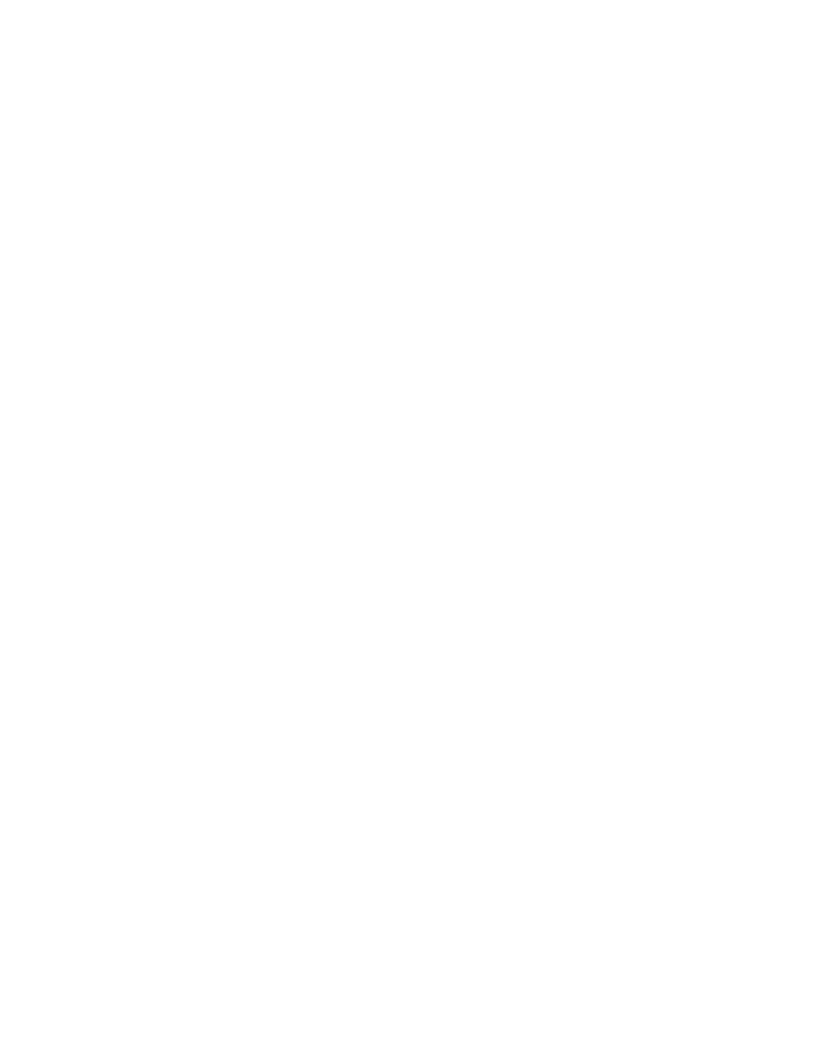 Yulefest Kilkenny