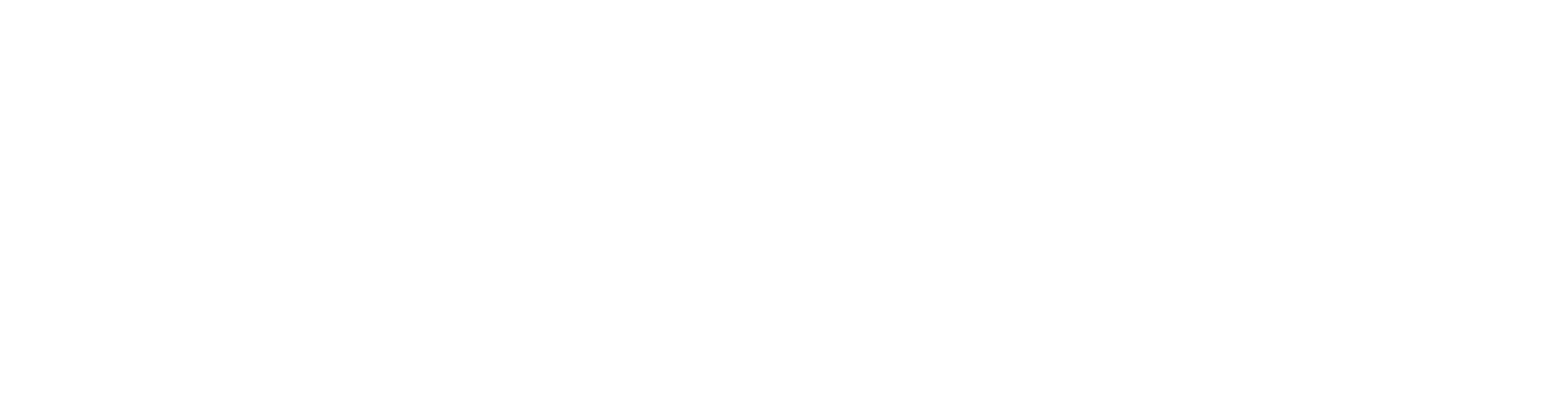 DANCE FORCE