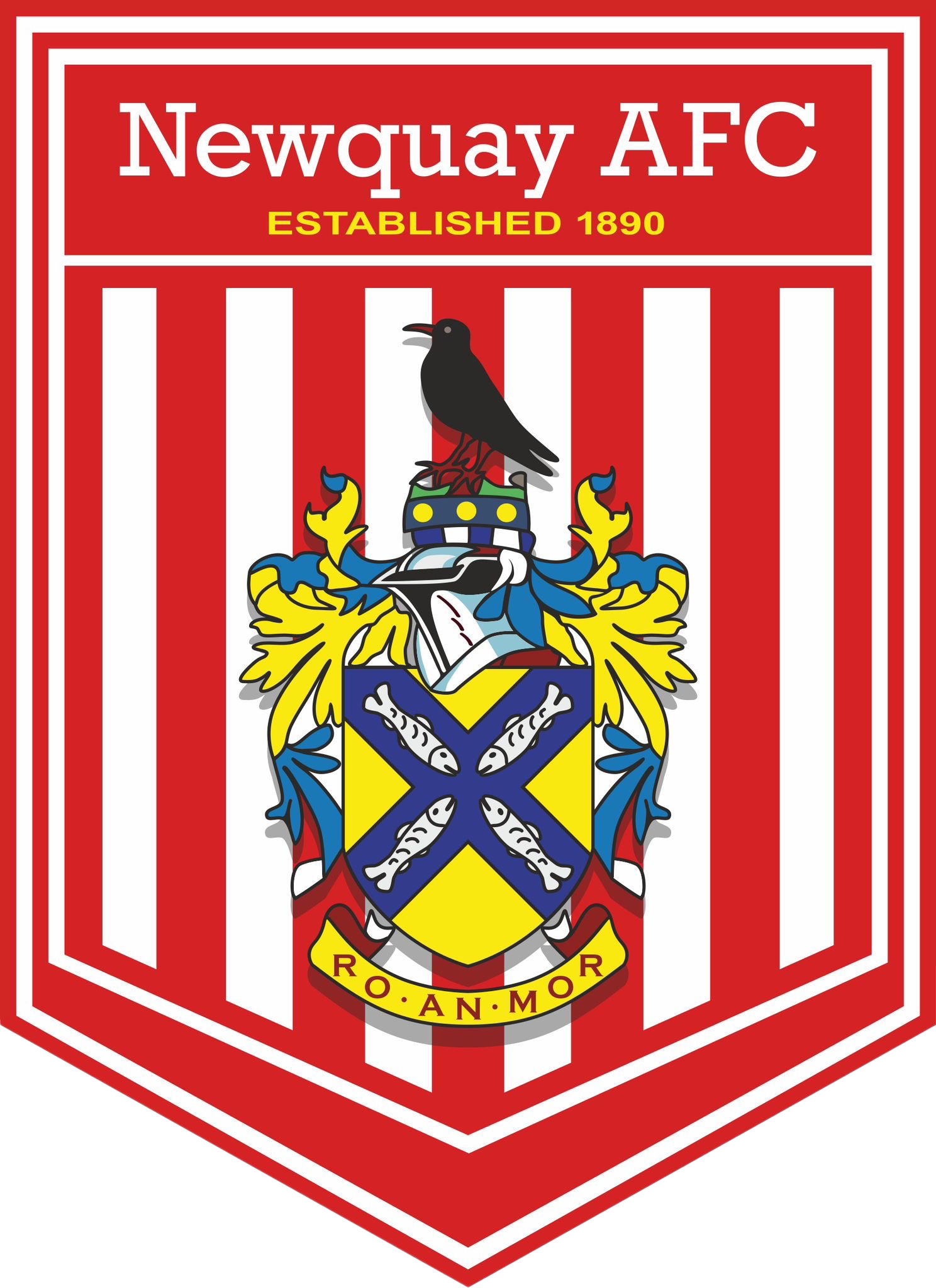 Newquay AFC