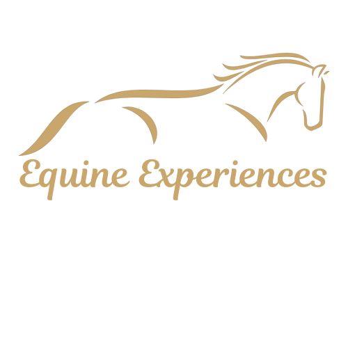 Equine Experiences