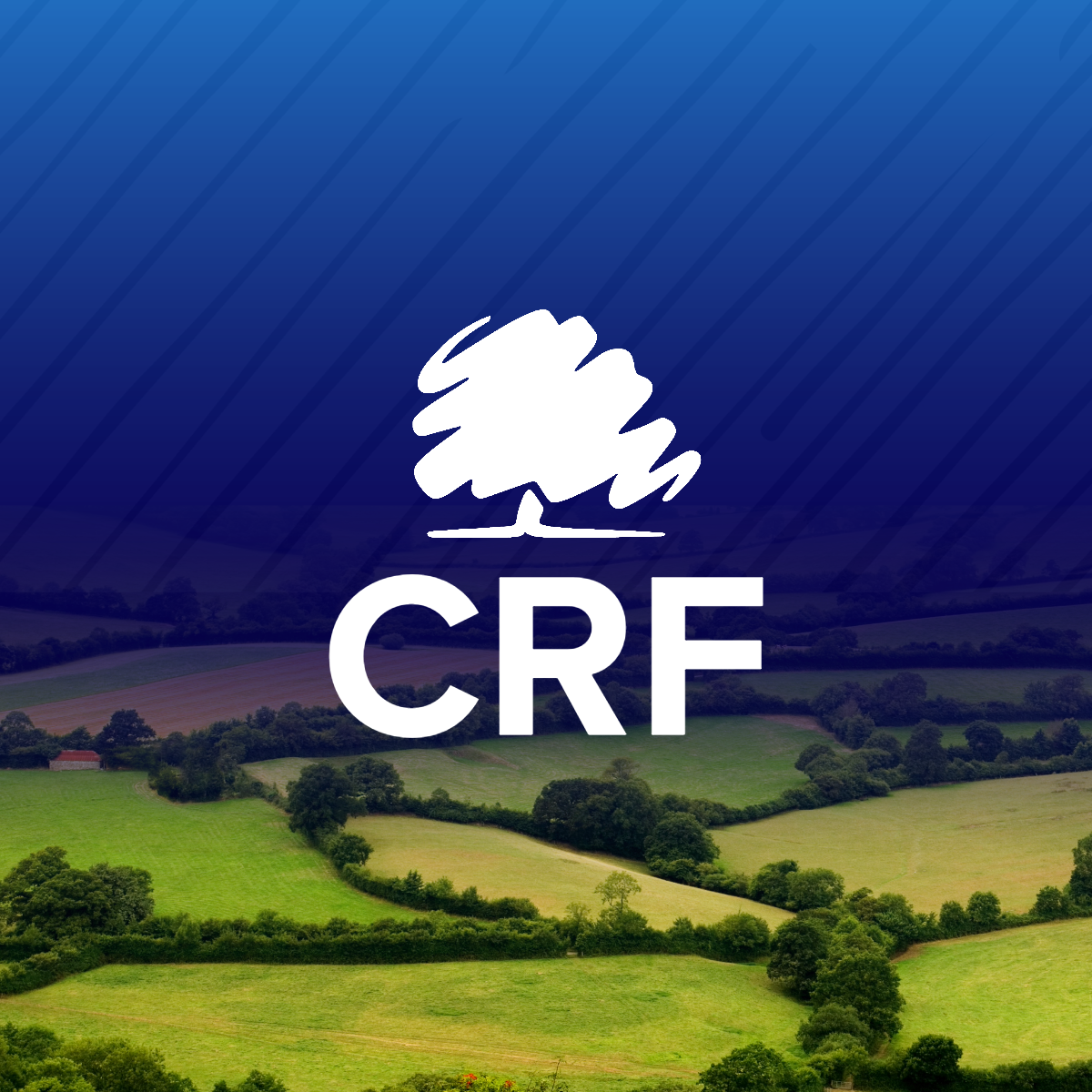 Conservative Rural Forum