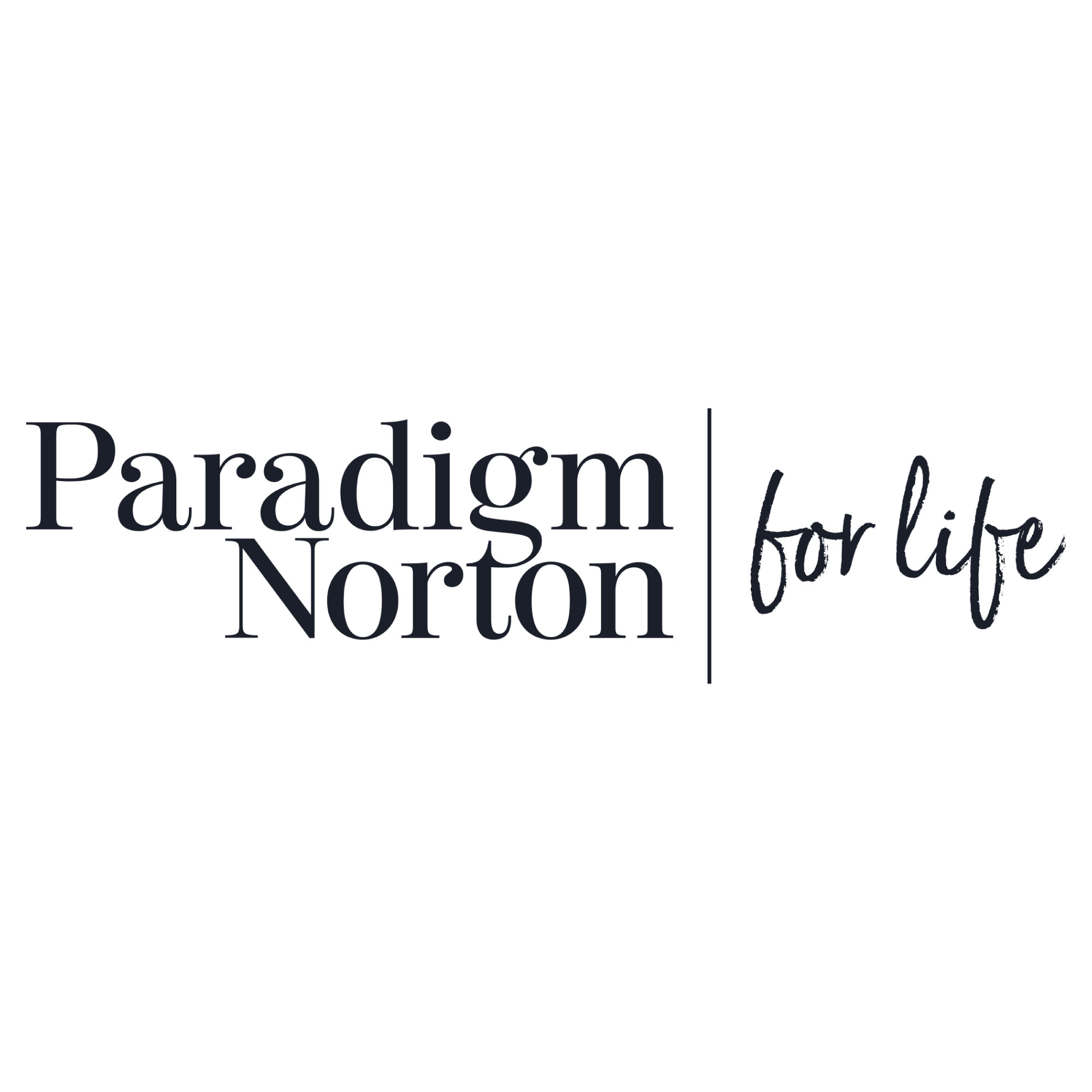 Paradigm Norton