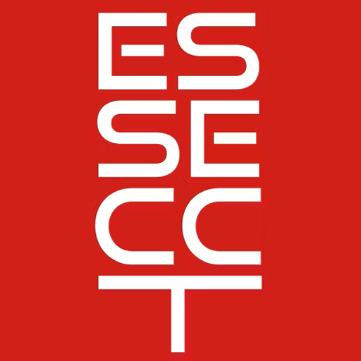 Essecct srl