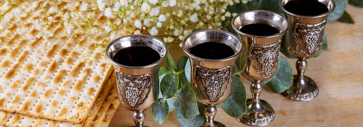 Community Passover Seder 