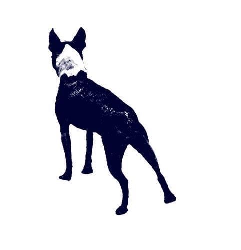 The Wise Old Dog, Education Series