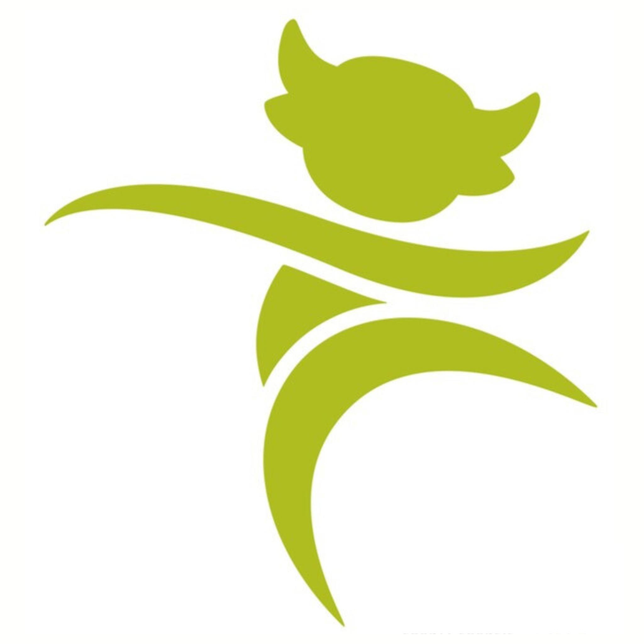 Lincolnshire Fostering Service