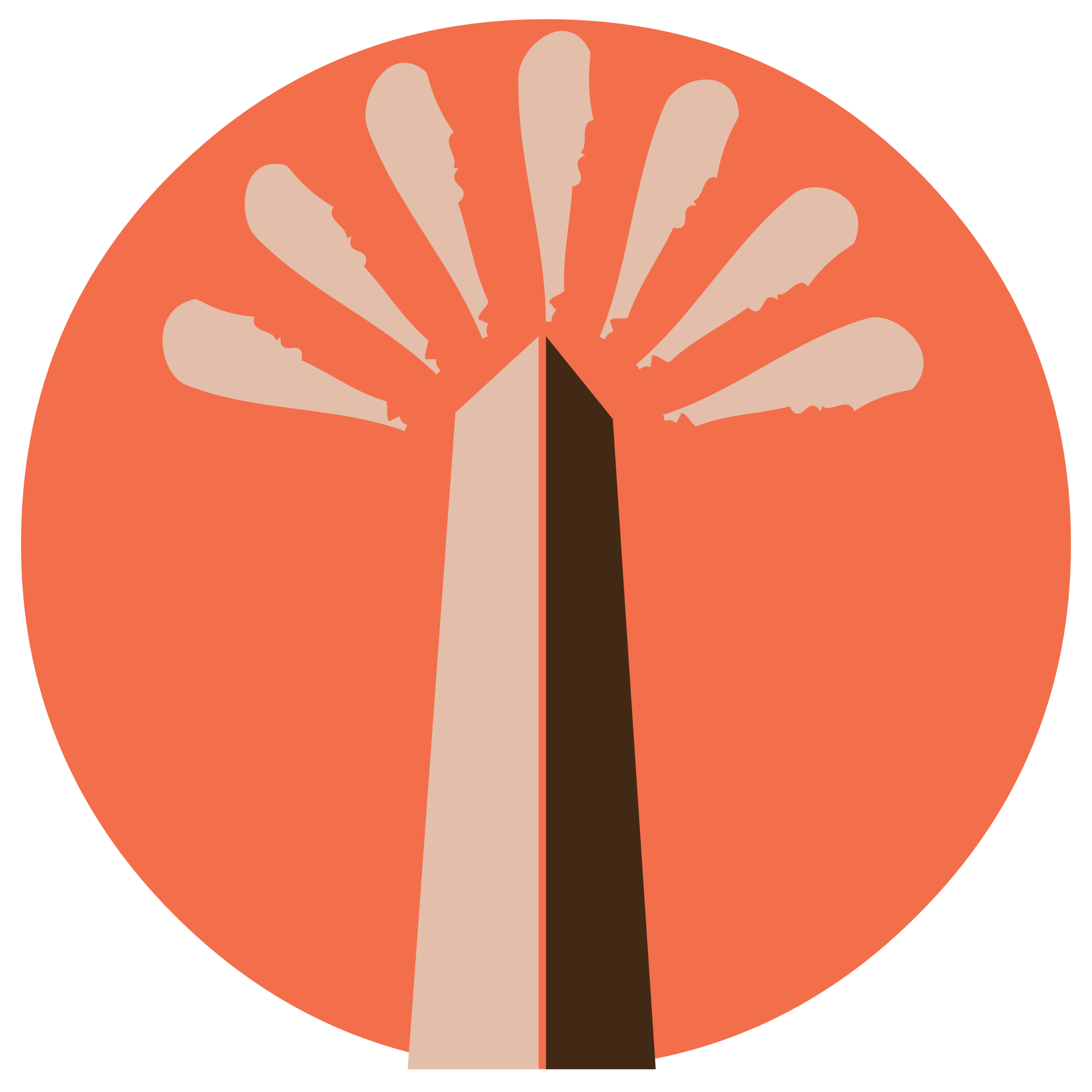 Paradhis Festival