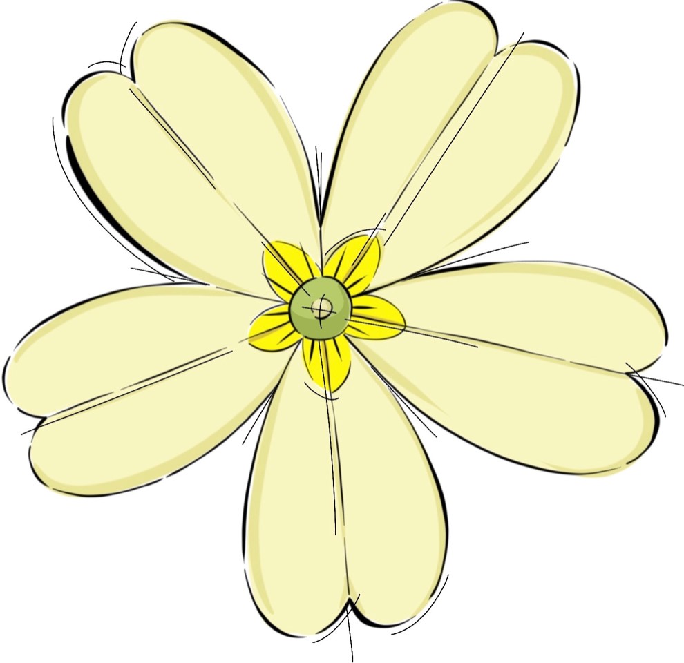 Primrose Community Nature Trust