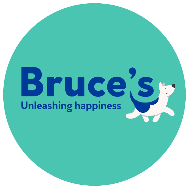 Bruce's Doggy Day Care