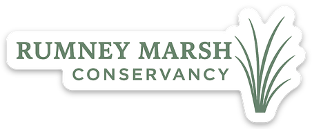 Rumney Marsh Conservancy