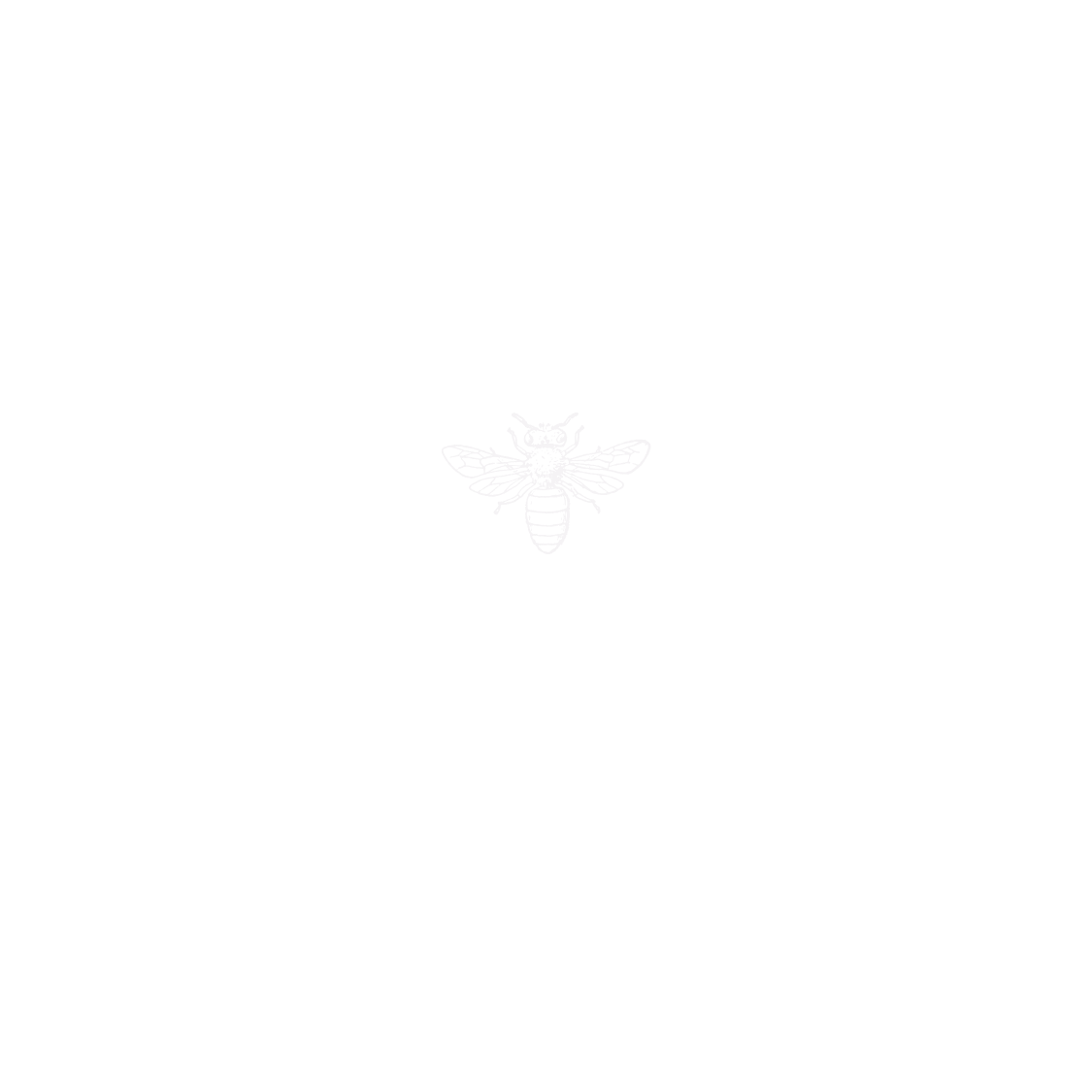 Hive on the Hollow