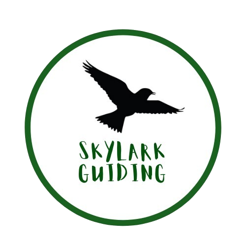 Skylark Guiding Ltd