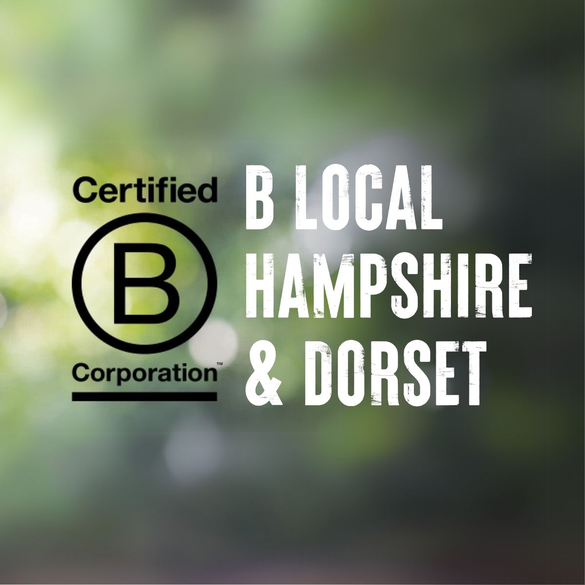 B Local Hampshire & Dorset