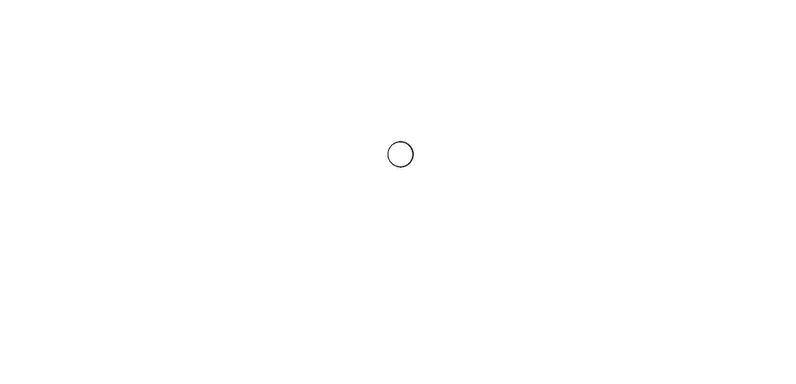 Pico Union Project