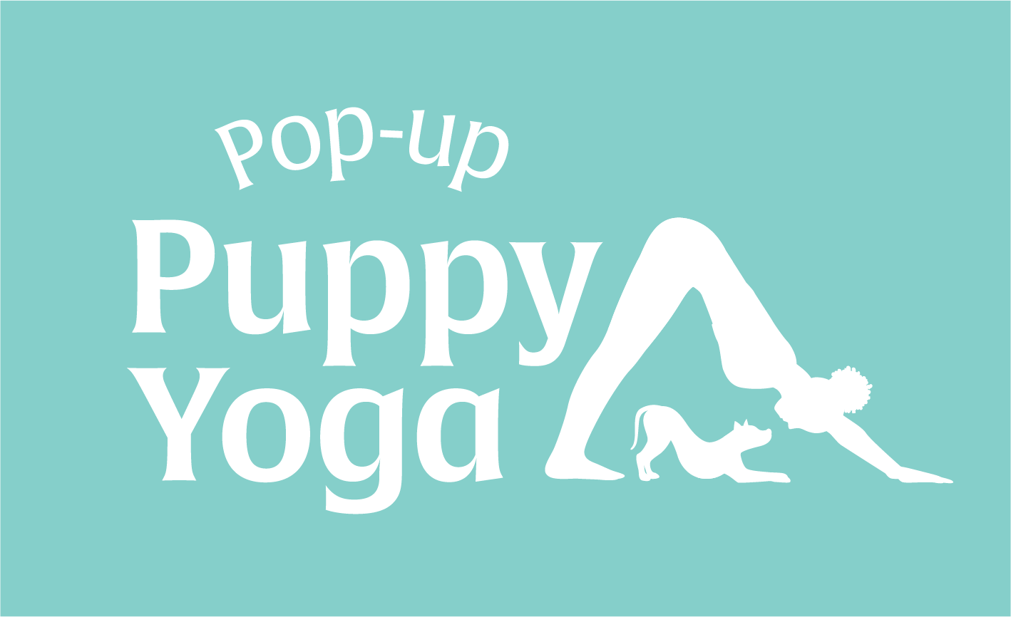 Pop-Up Puppy Yoga