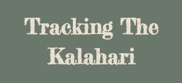 Tracking The Kalahari