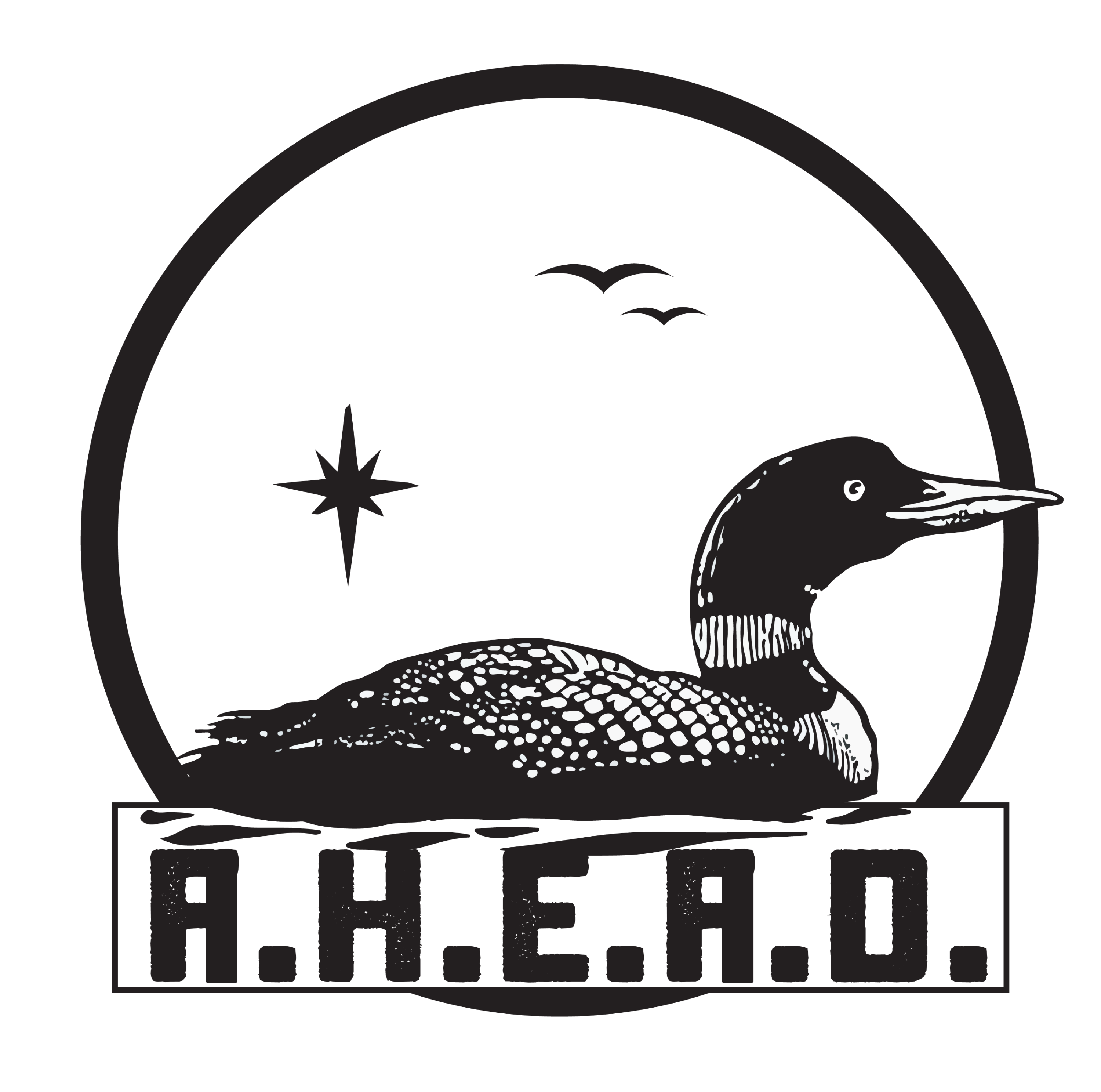 A.H.E.A.D. Training