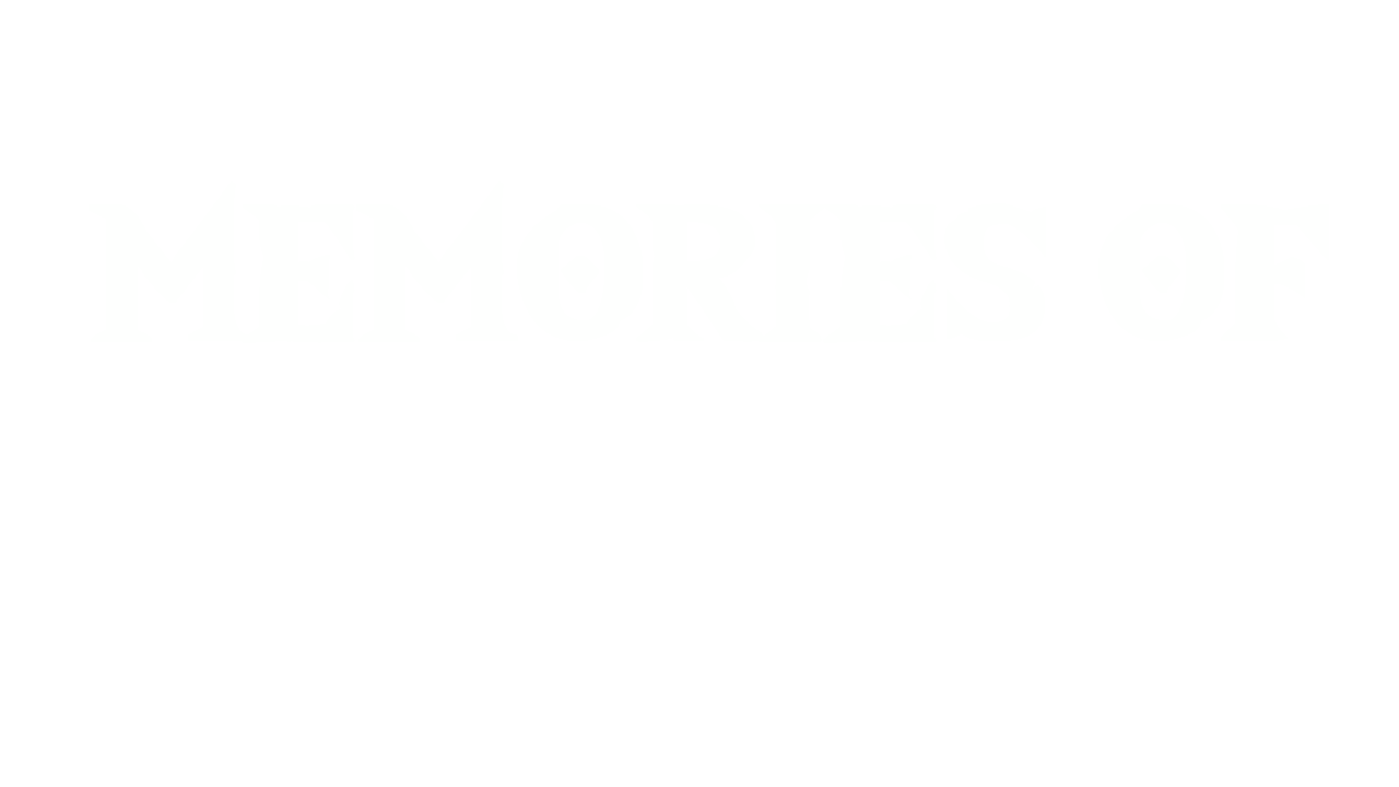 Memories of Hyrule
