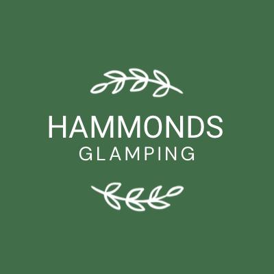SWINGDYFEST at Hammonds